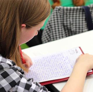 Girl in Flannel Writing Essay